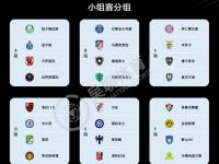 乐鱼体育平台-世俱杯夺冠赔率：大巴黎压皇马欧洲球队揽前4的简单介绍